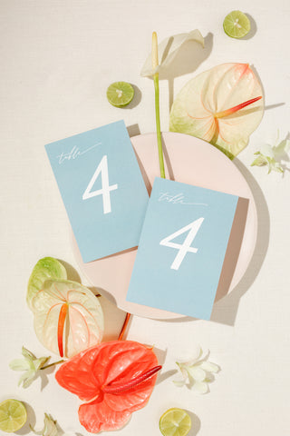 Beach Destination Wedding Table Numbers