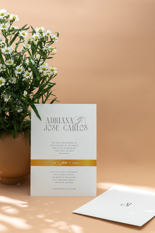 MM #4, Invitation Suite